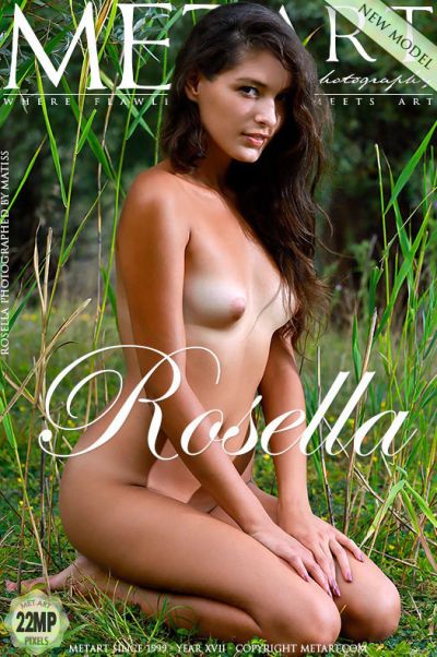 Rosella: "Presenting Rosella"<br>by Matiss